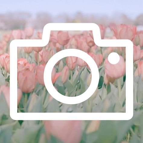 Free Pastel App Icons, Spring Aesthetic Icons For Apps, App Covers Aesthetic Pastel, Tulips App Icon, Spring Icons Aesthetic, Spring Icons For Apps, Pastel App Icons Aesthetic, Spring App Icons, Everyday Wallpaper