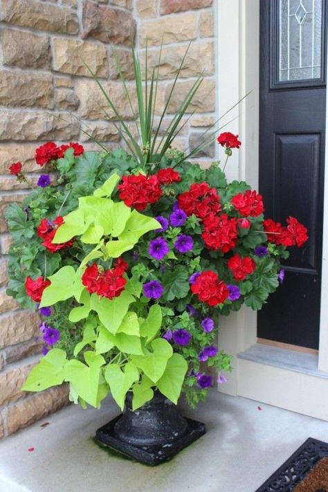 Stairs Porch, Planter Inspiration, Porch Planter Ideas, Summer Planter, Front Stairs, Small Yard Landscaping, Porch Flowers, Diy Planter, Container Garden Design