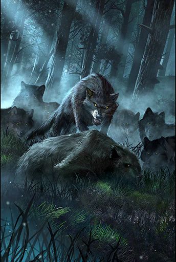 Cut Hair Short, Elephant Rescue, Werewolf Aesthetic, Wolf Images, Wolf Artwork, Fantasy Wolf, Wolf Photos, Wolf Spirit Animal, Werewolf Art