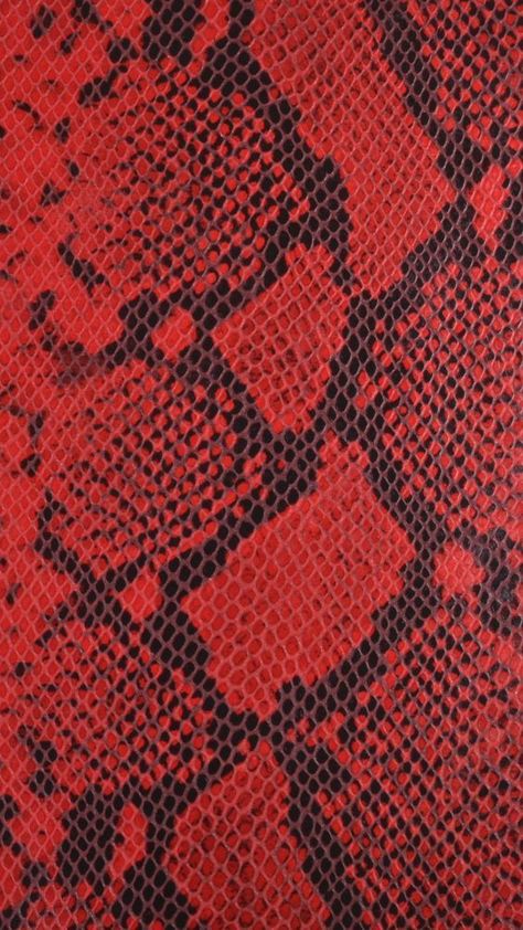 Red Aesthetic Grunge, Red Snake, Green Inspiration, Animal Print Wallpaper, Snake Patterns, Printed Backgrounds, Photo Wall Collage, Red Wallpaper, Animal Skin