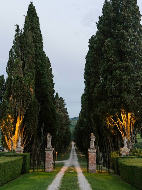 Long Driveway To House, Long Driveway Aesthetic, Long Driveway House, Long Drive Way With Trees, Long Drive Way Entrance, Houses With Long Driveways, Long Driveway With Trees, Old Money House Driveway, Long Driveway Entrance