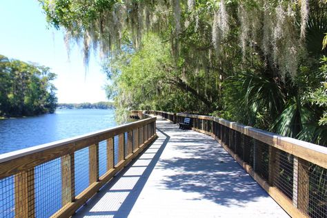 15 Best Things to Do in Palm Harbor, FL - Travel Lens Palm Harbor Florida, Honeymoon Island, Splash Park, Spring Park, Tarpon Springs, Gulf Of Mexico, Water Activities, Amusement Park, Golf Course