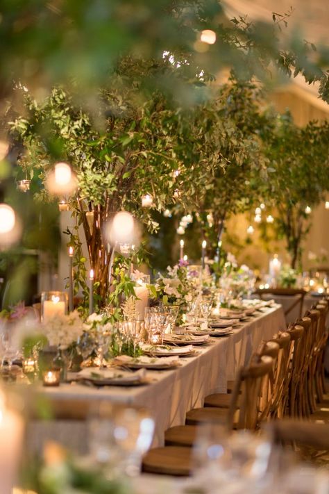 See How a Ballroom Was Transformed into a Garden Oasis Ethereal Ballroom, Garden Ballroom, Wedding Ballroom Lighting, Ballroom Uplighting, Garden Wedding Decor, Southern Exchange Ballroom Wedding, Classic Summer Wedding, Enchanted Garden Wedding, Garden Wedding Decorations