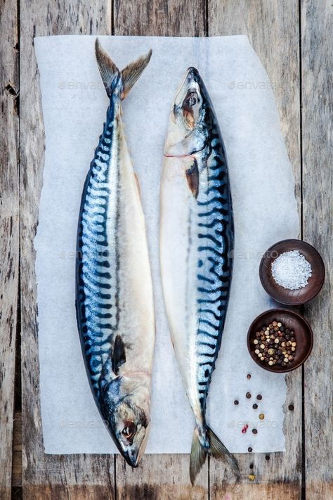 Fresh Fish Photography, Fish Photography, Mackerel Fish, Fish Artwork, Fish Illustration, Fish Sculpture, Two Fish, Fresh Fish, Fish Painting