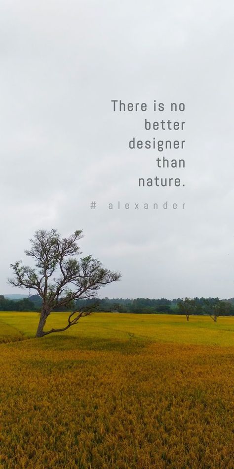 50+ Best Inspirational Quotes For Travel Lovers | Aesthetic Travel Quotes & Instagram Captions Nature Philosophy Quotes, Nature Person Quotes, Quotes About Forest Nature, Nature Healing Quotes Inspirational, Nature Bliss Quotes, Quotes On View Of Nature, Quote About Nature Beauty, Qoutes About Nature Lover, What'sapp About Captions