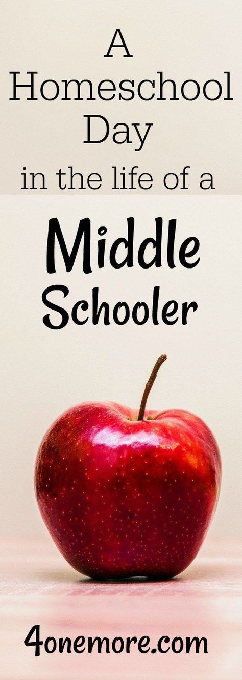 What does it look like to homeschool middle school?  Check out how we do it with three middle schoolers @4onemore.com  #homeschool #dayinthelife #schedule Homeschool Daily Schedule, Middle School Curriculum, Homeschool Middle School, Homeschool Routine, How To Start Homeschooling, School Schedule, Homeschool Schedule, Homeschool Life, Middle Schoolers