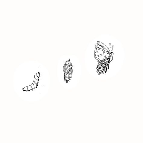 The Caterpillars Journey 🐛 ✨ A while ago I sketched a little doodle of a caterpillar drawing a butterfly 🦋 - #3 - I didn’t think much of it at the time, but when I was thinking of something to represent FrankCreates the caterpillar felt like a perfect fit. The caterpillar represents the beginning of an inevitable growth phase; caterpillar to chrysalis to butterfly 〰️ a process that requires time and effort on the caterpillars behalf, in order to fly 🦋✨🙌🏼 I’m approaching FrankCreates as ... Butterfly Cycle Drawing, Butterfly Phases Drawing, Caterpillar Graphic Design, Cattipillars Drawing, Caterpillar To Butterfly Drawing, Caterpillar And Butterfly Tattoo, Catipillar Drawing Simple, Catipillar To Butterfly, Catapillar Drawings