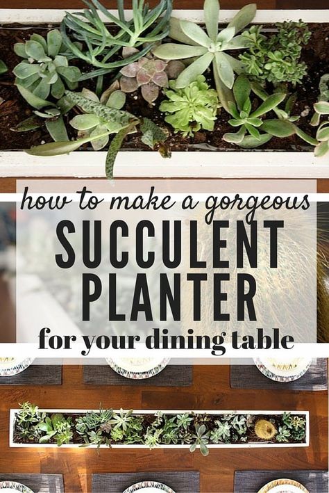 Succulent centerpieces are so simple to put together - here are the details for how to create a simple DIY succulent planter for your table. Diy Succulents Centerpiece, Diy Succulent Planter, Succulent Centerpiece, Succulent Planter Diy, Centerpiece Home, Farmhouse Side Table, Succulent Centerpieces, Succulent Bouquet, Planter Table