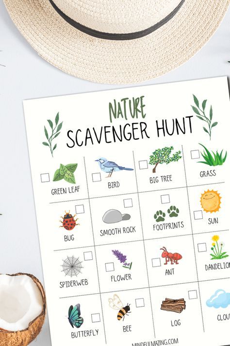 Bug Scavenger Hunt Free Printable, Outdoor Scavenger Hunt Ideas For Kids Free Printable, Hiking Scavenger Hunt For Kids, Forest Homeschooling, Nature Trail Scavenger Hunt, Toddler Scavenger Hunt, Color Scavenger Hunt, Nature Scavenger Hunt For Kids, Nature Scavenger Hunt Printable