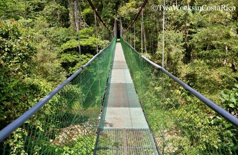 Tirimbina Biological Reserve: An Eco-Treat in Sarapiqui Hanging Bridge, Costa Rica Honeymoon, Costa Rica Travel, Honeymoon Travel, Travel Planning, Travel Agency, Amazing Destinations, Us Travel, Railroad Tracks