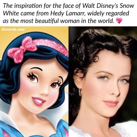 Snow White Makeup, Walter Elias Disney, Funny Disney Memes, Princess Drawings, Princesa Disney, Walt Disney Animation Studios, Old Disney, Disney Memes, Fairytale Art