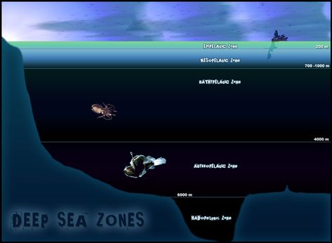 deep Hadal Zone, Deep Sea Animals, Science Apps, Sea Pictures, Ocean Depth, Deep Sea Creatures, Ya Fantasy, Oceanography, Animal Habitats