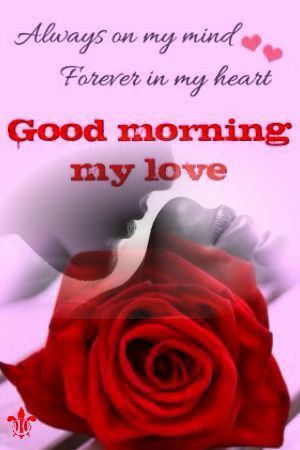 Happy Rose Day My Love, Good Morning Handsome Quotes, Morning My Love, Happy Rose Day, Romantic Good Morning Quotes, Romantic Good Morning Messages, Love My Wife Quotes, Good Morning Handsome, Sweetheart Quotes