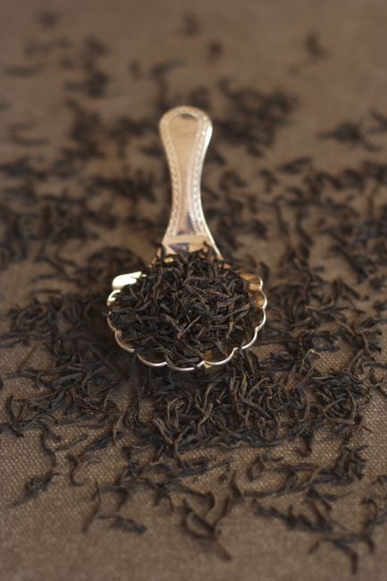 White Tea Benefits, Tea Photography, Ceylon Tea, Tea Brands, Tea Benefits, Love Tea, Tea Art, Chinese Tea, Loose Tea