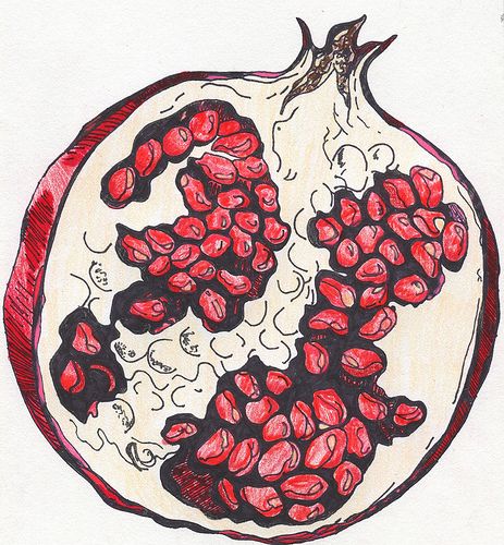 Pomegrante Chances Of Pregnancy, Pomegranate Art, Get Pregnant, Gcse Art, Arte Sketchbook, Arte Inspo, Art Sketchbook, Drawing Inspiration, Pomegranate