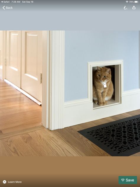 Door With Cat Door, Indoor Cat Door, Cat Tunnel Indoor, Under Basement Stairs, Cat Doors, House Styling, Garage Update, Basement Inspiration, Flower House