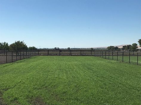 Horse pasture Small Horse Pasture, Horse Necessities, Horse Pasture Ideas, Firefly Forest, Rodeo Arena, Horse Pasture, Dream Ranch, Barn Layout, Equestrian Property