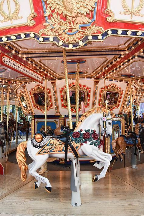 Carrusel Aesthetic, Merry Go Round Aesthetic, Carousel Aesthetic, Merry Go Round Horse, Nickelodeon Universe, Merry Go Round Carousel, Bloomington Minnesota, Carousel Animals, Rocking Horses