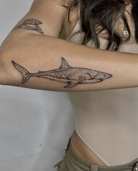 Shark Tattoo Ideas, Shark Tattoo, Sun Tattoos, Shark Tattoos, Apex Predator, Dainty Tattoos, Subtle Tattoos, Best Tattoo Designs, Dream Tattoos