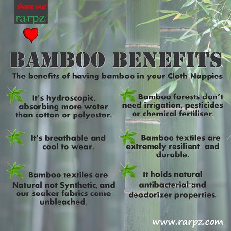 Bamboo Benefits, Allotment Planning, Therapy Garden, Palm Tree Types, Bee Hive Plans, Bamboo Diy, Save Planet Earth, Cloth Nappy, Bamboo Construction