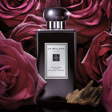 Velvet Rose & Oud Cologne Intense - Jo Malone London | Sephora Velvet Rose And Oud, Perfume Versace, Oud Perfume, Perfume Photography, Velvet Rose, Essential Oil Fragrance, Best Perfume, Perfume Brands, Luxury Perfume