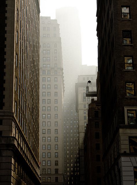 flight by Several seconds, via Flickr San Myshuno, Tall Buildings, Empire State Of Mind, Nyc Life, New York Life, City Vibe, The Fog, Dream City, City Street