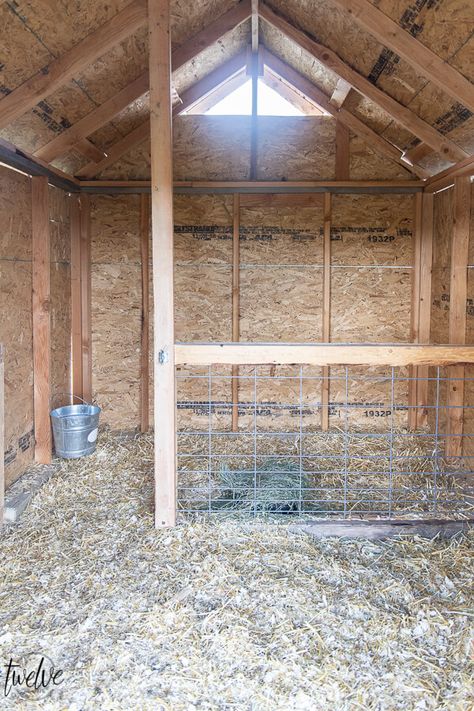 Inside of a goat shed, a separated pen for birthing and separating goats. Diy Goat Shed, Goat Shed Ideas, Goat Enclosure Ideas, Goat Housing, Goat Pens, Goat Ideas, Sheep Pen, Goat Shed, Livestock Barn