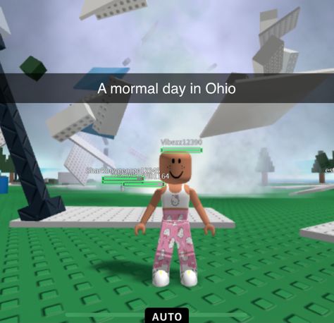 Ohio Memes Funny, Only In Ohio, Ohio Memes, Roblox Animation, Dark Memes, Roblox Memes, Funny Pics, My Vibe, Ohio