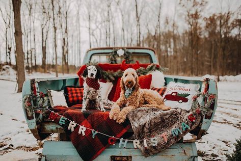 Vintage Truck Christmas, Vintage Red Truck, Holiday Photography, Christmas Backdrops, Rustic Holiday, Christmas Photography, Christmas Photoshoot, Christmas Truck, Holiday Baby