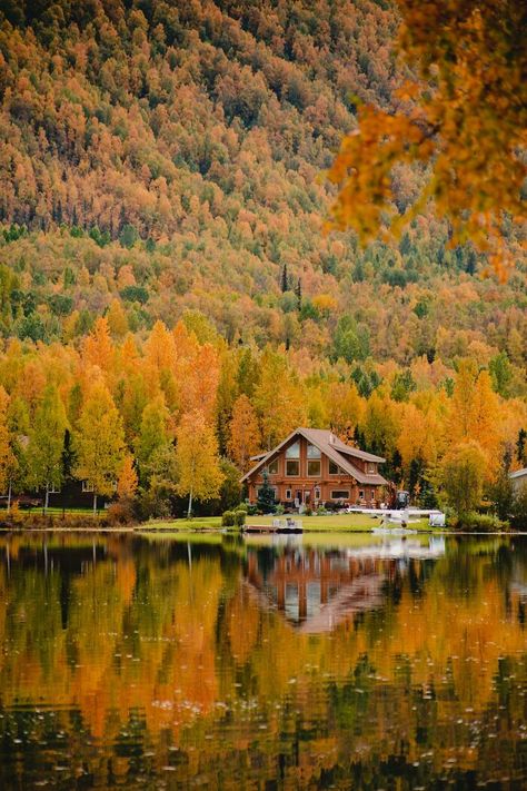 A Fall Cabin On Mirror Lake In Alaska Fall Cabin, North Carolina Cabins, Cozy Winter Cabin, Scandinavian Cabin, Carolina Do Norte, Stone Cabin, Treehouse Cabins, Cabin Aesthetic, Forest Cabin