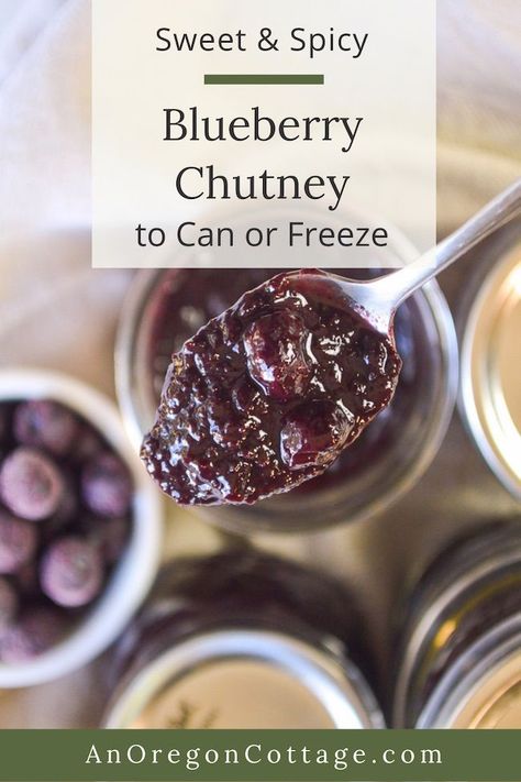 This super easy spicy blueberry chutney recipe for canning or freezing uses frozen or fresh blueberries so you can make it anytime and it's sweetened only with honey. Great for topping turkey, chicken or pork, it also makes a great appetizer spooned over cheeses like brie, goat, or cream cheese and sandwich spread. #ad #blueberries Blueberry Chutney Recipe, Blueberry Chutney, Easy Blueberry Cobbler, Canned Blueberries, Honey Sauce, Turkey Chicken, Chutney Recipe, Sandwich Spread, Easy Blueberry