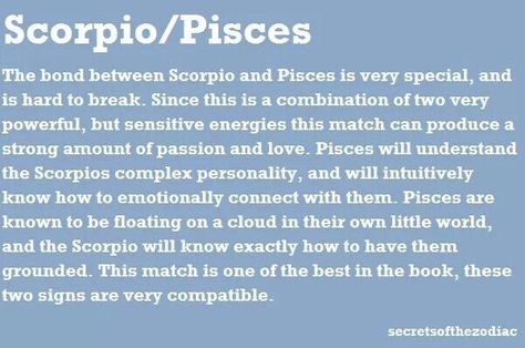 Pisces X Scorpio Couple, Pisces Woman Scorpio Man, Scorpio Evolution, Scorpio And Pisces Relationship, Horoscope Elements, Pisces Relationship, Scorpio Relationships, Scorpio Compatibility, Pisces Compatibility