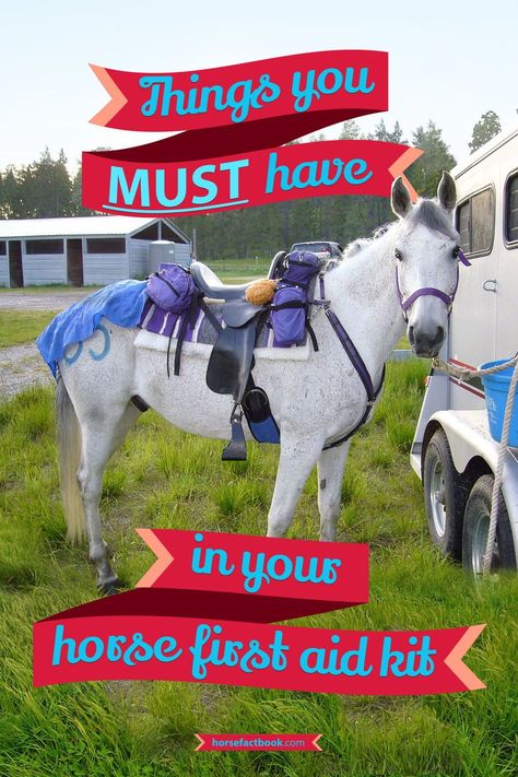 Horse First Aid Kit, Horse First Aid, First Aid Kit Essentials, Equestrian Tips, Horse Camping, Horse Travel, Trail Riding Horses, Horse Behavior, Horse Care Tips