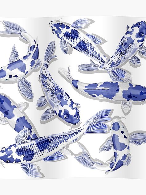 White Koi Fish, Karp Koi, Coy Fish, Koi Painting, Koi Fish Drawing, Blue Koi, Dengeki Daisy, Koi Art, Carpe Koi