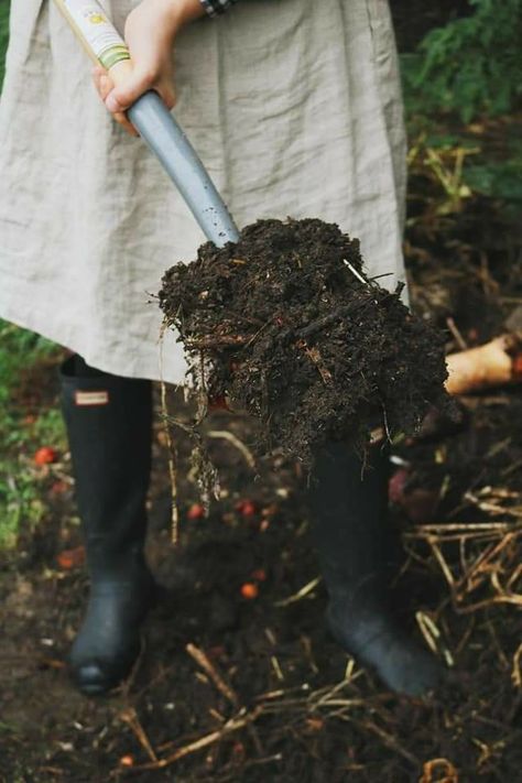 How To Make Compost, Farmer Wife, Tin Roof, Composting, Stardew Valley, Country Farm, Farm Gardens, Kitchen Garden, Growing Vegetables