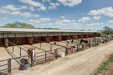 Horse Training Facility Layout, Horse Runs With Shelter, Farm Machinery Sheds, Horse Boarding Facility Ideas, Horse Stalls Cheap, Horse Paddocks, Horse Farm Layout, Dream Barn Stables, Horse Pens