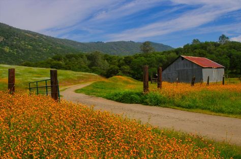 California Countryside, California Wildflowers, Red Bluff, California Landscape, Canyon Road, Central Valley, Table Mountain, Mountain Trails, Valley View