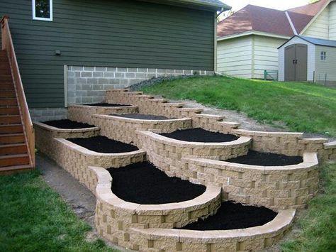 Nice design Cockle Shells, Rock Walls, Tiered Garden, Outdoor Designs, Florida Homes, Real Estat, Garden Idea, Garden Area, Garden Plans