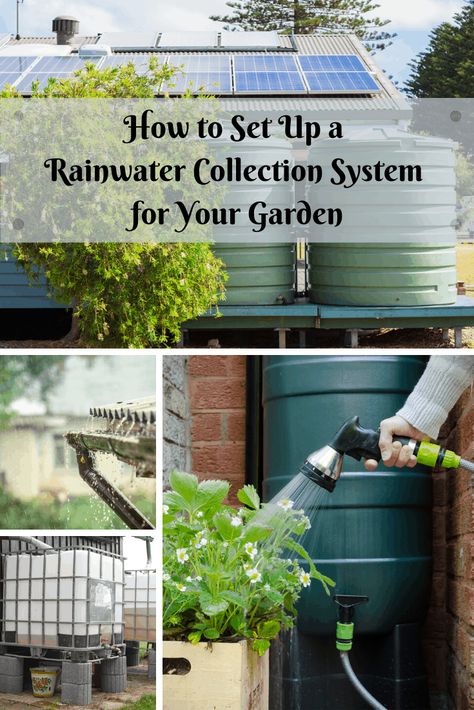 How to Set Up a Rainwater Collection System & 8 DIY Ideas Rain Collection System, Rain Catchment System, Living Room Eclectic, Rain Water Collection Diy, Rainwater Collection System, Rain Barrel System, Living Room Elegant, Living Room Natural, Living Room Colorful