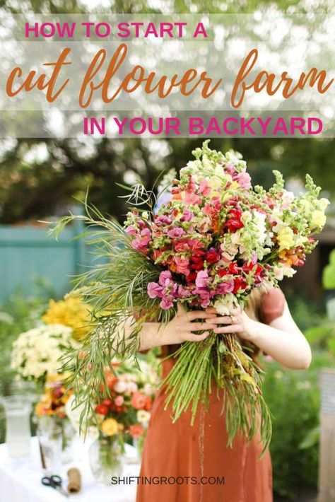 Food Organisation, Backyard Flowers Garden, Organisation Tips, Cut Flower Farm, Backyard Flowers, Flower Business, Flower Farmer, Cut Flower Garden, Flower Landscape