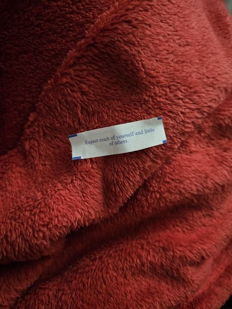 Image of a fortune cookie on a red fuzzy blanket, the fortune reads "expect much of yourself and little of others" Fortune Cookie Aesthetic, Cookie Aesthetic, Fortune Cookie, Children’s Books, Wonder, Quick Saves