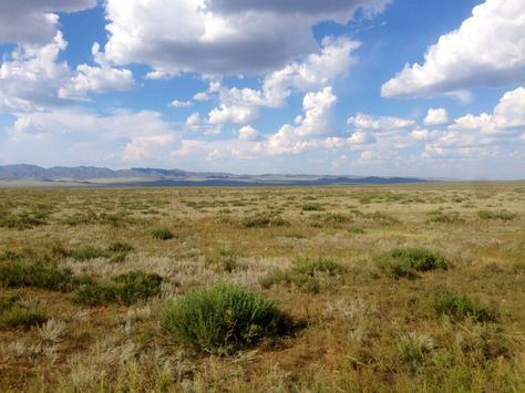 Steppe Landscape, Mongolian Steppe, South Africa Travel, Lost Soul, Fantasy Concept Art, Africa Travel, Mongolia, Animal Planet, Nature Aesthetic