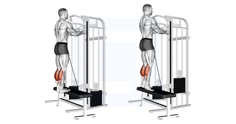 Calve Raises, Lower Body Cable Workout, Diy Calf Raise Machine, Cable Lateral Raise, Lateral Leg Raises Cable, Calf Raises Exercise, Standing Calf Raise, Leg Press Machine, Calf Exercises