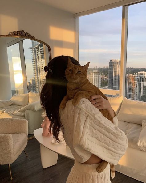 Cat Cafe, Foto Ideas Instagram, Brunette Girl, Cat Aesthetic, Orange Cat, Cat Girl, Cat Photo, Cat Mom, A Cat