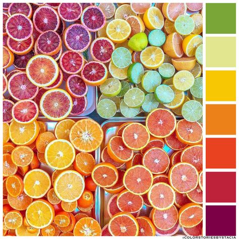 Sangria anyone? — Stacia Farrar Sangria Color, Hex Color Palette, Color Schemes Colour Palettes, Color Palate, Color Story, Color Palette Design, Color Balance, Color Inspo, Colour Board