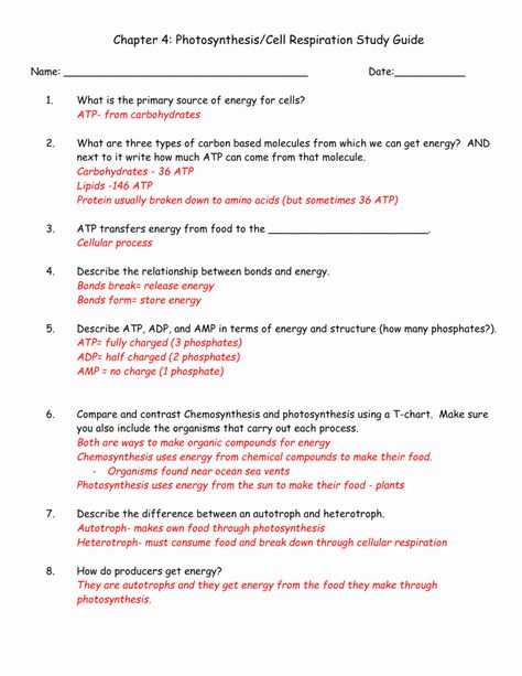 Cellular Respiration Worksheet Answer Key Lovely High School Biology Worksheets with Answers Pogil High – Chessmuseum Template Library Photosynthesis Worksheet, Cell Respiration, Photosynthesis And Cellular Respiration, Cell Transport, Cells Worksheet, Biology Worksheet, Cellular Respiration, Chemical Equation, Biology Notes