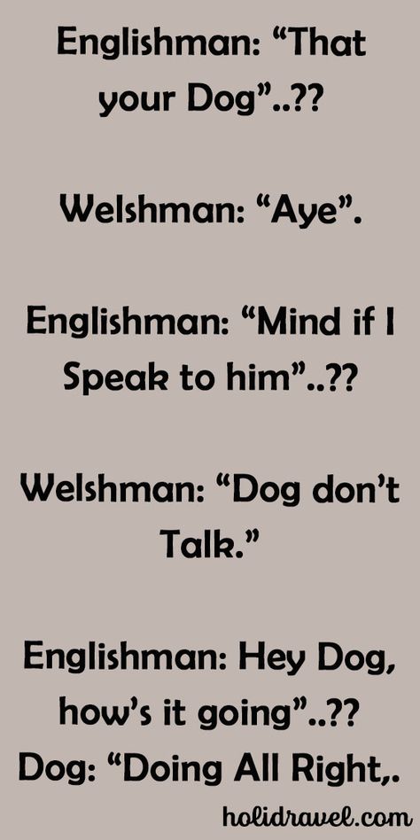 An Englishman Talk With The Welshman. – Puzzle Quotes, Irish Jokes, Wrong Number Texts, Clean Funny, Am I Wrong, Clean Funny Jokes, I Have Spoken, Sms Text, Funny Long Jokes