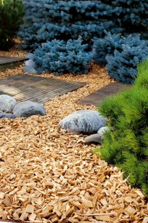 Wood Chips Landscaping, Wood Chips Garden, Wood Chip Mulch, Potted Olive Tree, Ideas For House, Types Of Mulch, Mulch Landscaping, Citrus Plant, Front Garden Landscape