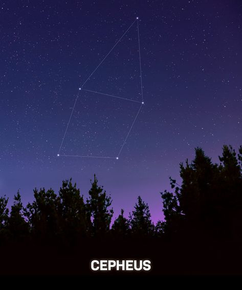 Cepheus Constellation, Harry Potter Oc, White Forest, Sapphire Stones, Cedric Diggory, The Night Sky, Bright Stars, Night Time, Night Sky