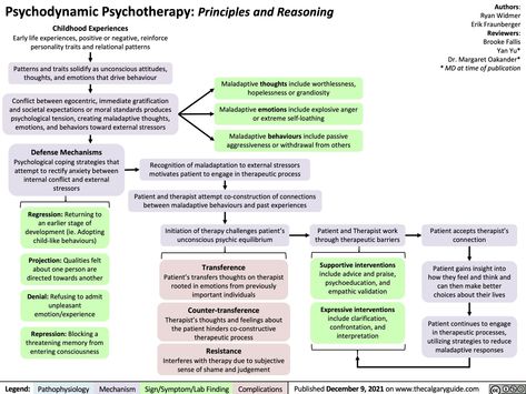 Psychodynamic Psychotherapy: Principles and Reasoning | Calgary Guide Psychodynamic Therapy, Coping Toolbox, Counseling Techniques, Psychology Notes, Crisis Intervention, Mental Health Crisis, Family Systems, Therapy Resources, Group Therapy